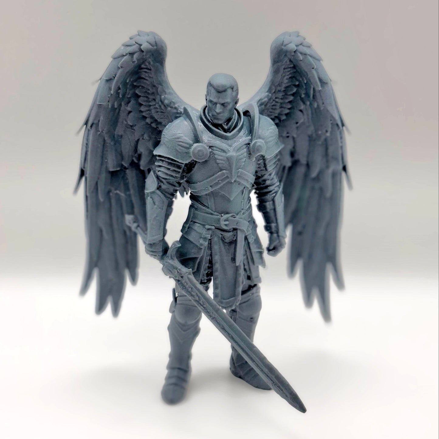Paladin Revived 2