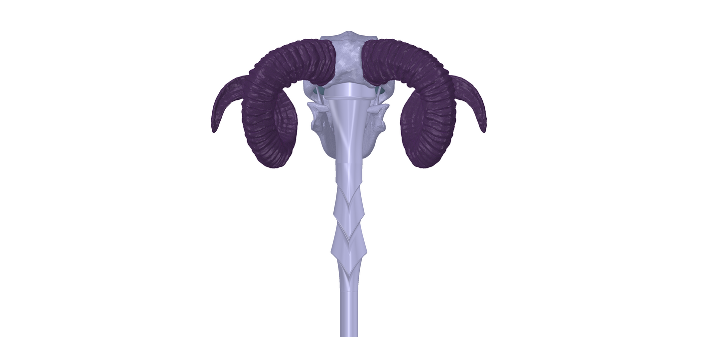Skeletor Havoc Staff | Masters Of The Universe Cosplay | By CC3D